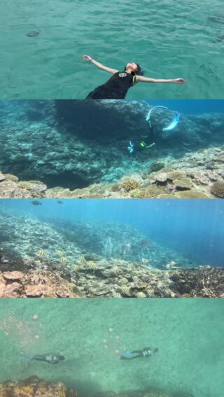 ザマミセーリング – ケラマブルーの海に癒やされて、自然を大切に